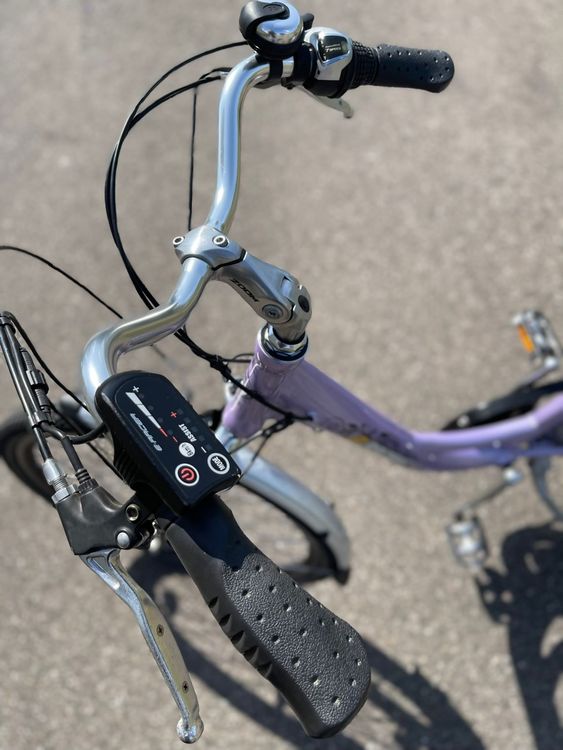 zelt cinch Ladungssicherungsgurt, Ladungssicherungsgurt, Zurrgurte Ladungssicherungsgurt, Strapazierfähige Cinch-Schnallengurte mit 8,2 Fuß Länge für Kaja, Motorräder und Dachträger Auto & Motorrad Lagerzelt 120 - 4 Category_Hauptkategorie/Produktlinien/Blaue Berge size:57.5