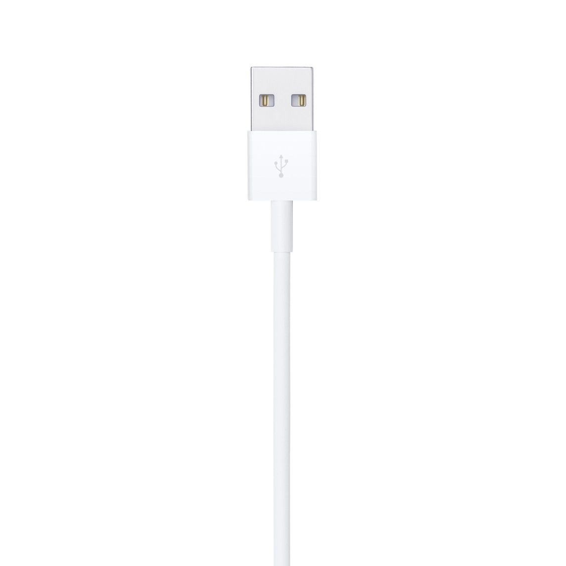 Apple Cavi: Lightning auf USB Kabel (2 m) – Usato da Ettingen venduto da Ralakeet 3