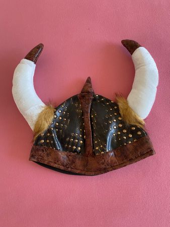 Wikinger (Kostüm)