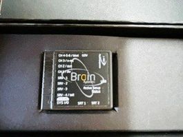 MSH Brain 1