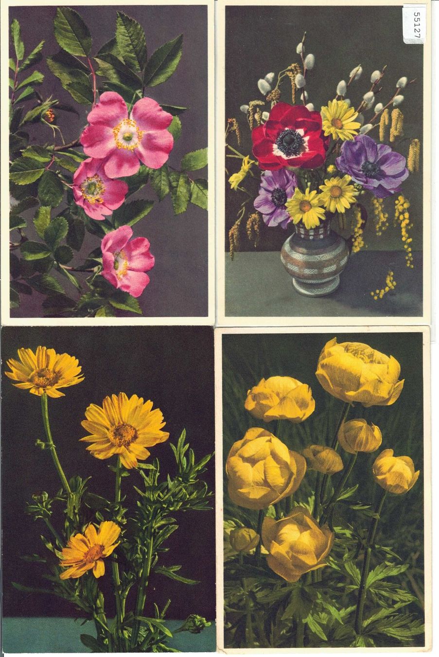 Cartoline postali: 4 AK - Blumen - Photo: E. Gyger – Usato da Ettingen venduto da Kartenplanet