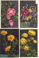 4 AK - Blumen - Photo: E. Gyger
