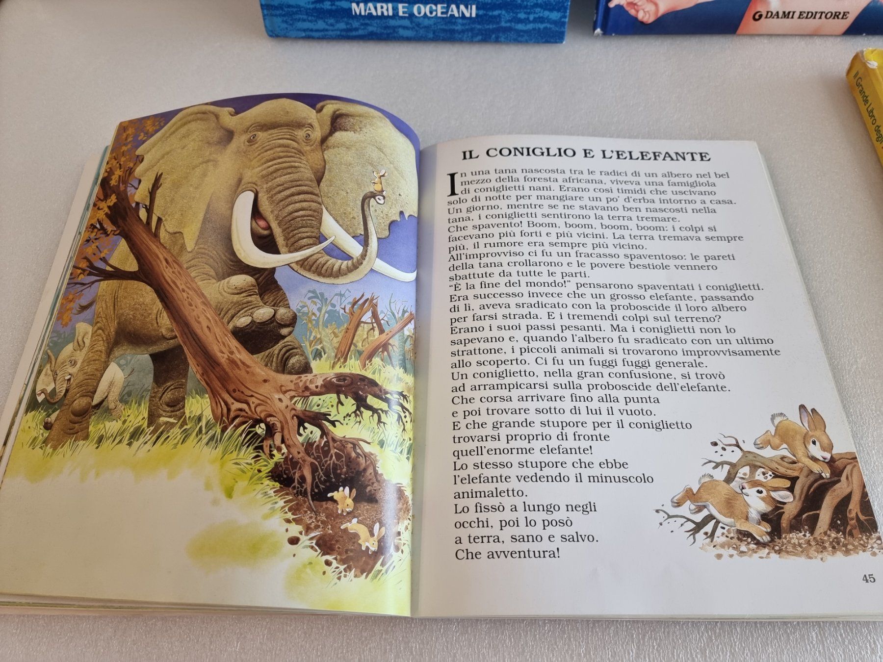 Libri: 5 libri degli animali – Usato da Hinwil venduto da Fransim 7