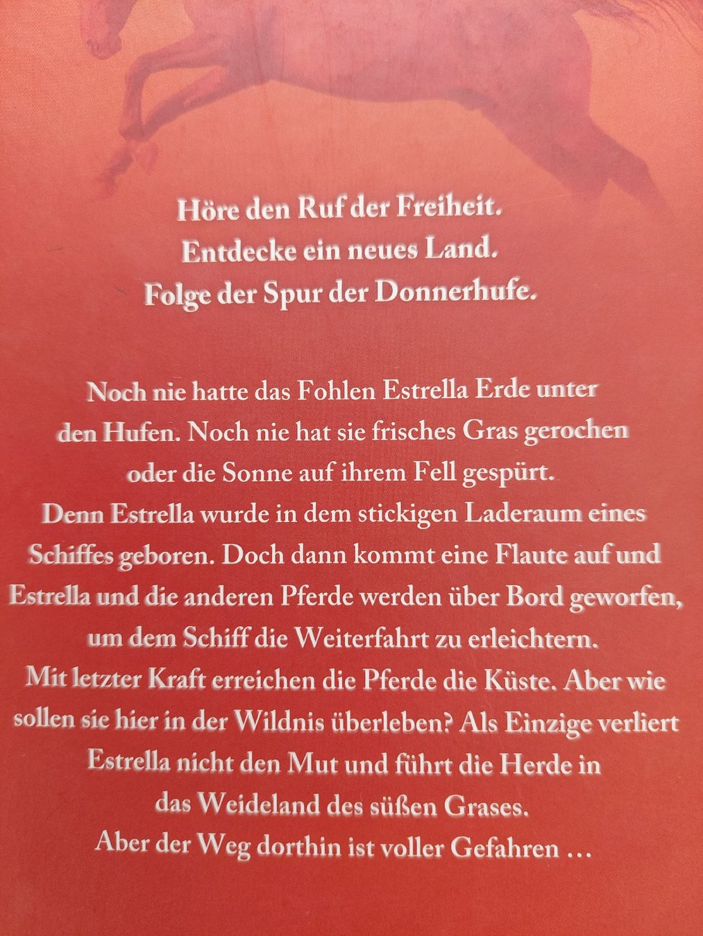 Libri: 3 Pferdebücher 🐴 – Usato da Zetzwil venduto da lanst08 2