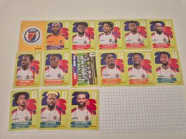 WM Panini Sticker 2026 Team Haiti