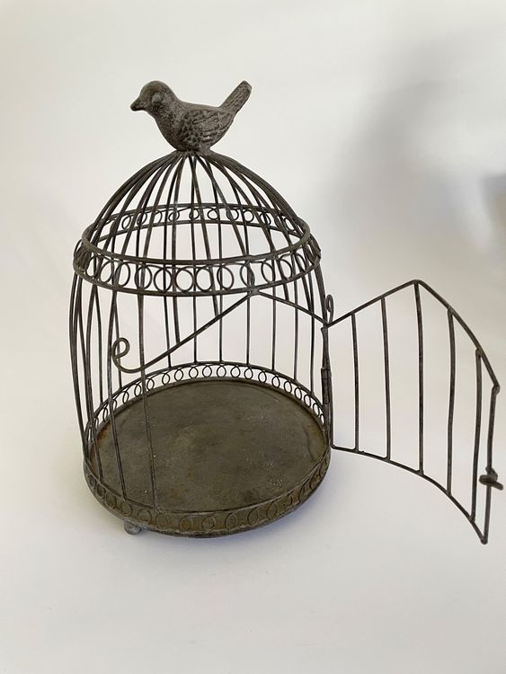 10 Stück Vogel-Fußringe Aus Metall – Größe 12 (ca. 11,5 Mm), Mit Schnalle, Für Papageien & Ziervögel