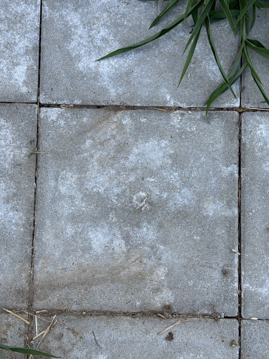 Bodenbeläge: Steinplatten für Gartenboden – Gebraucht aus Pfäffikon SZ von Tonimarroni99
