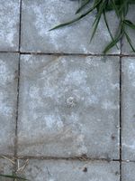 Steinplatten für Gartenboden