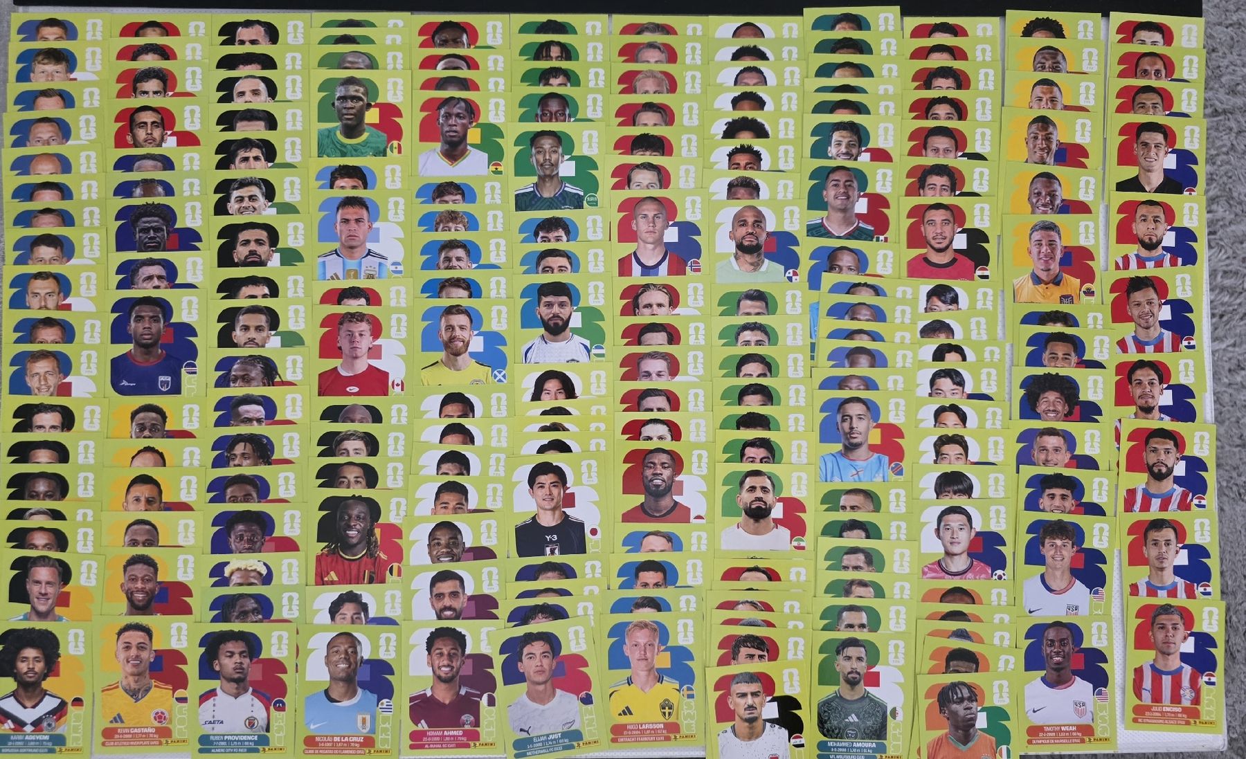 Panini Sammelbilder & Trading cards: Panini WM2026 – Gebraucht aus St. Gallen von Shelly__x3