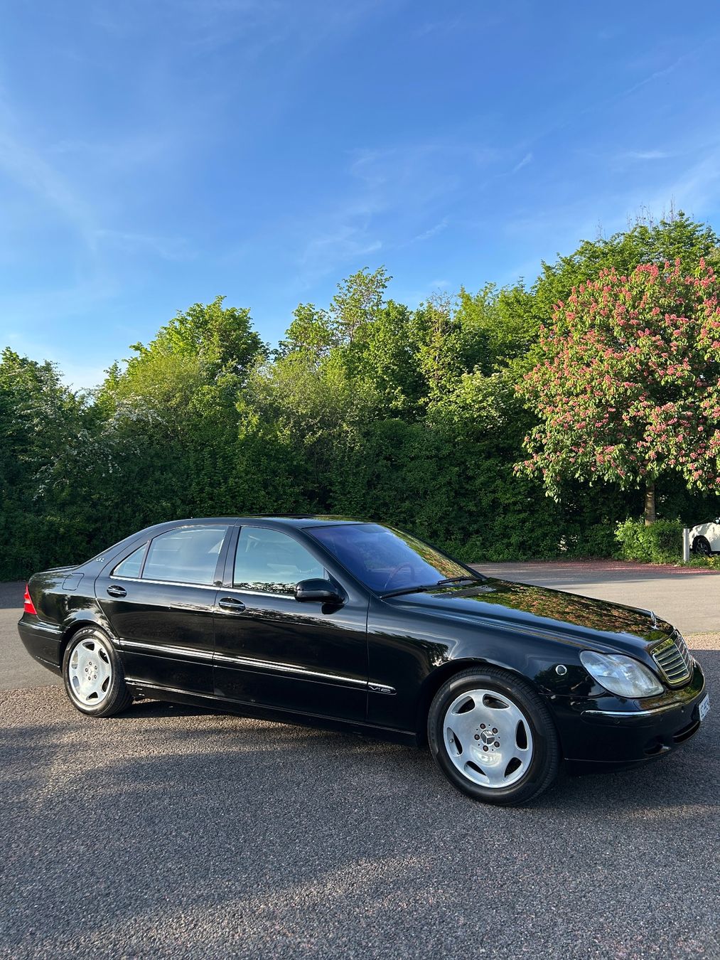 Mercedes-Benz Automobili: Mercedes S600 W220 – Usato da Lachen SZ venduto da nk.sv 1