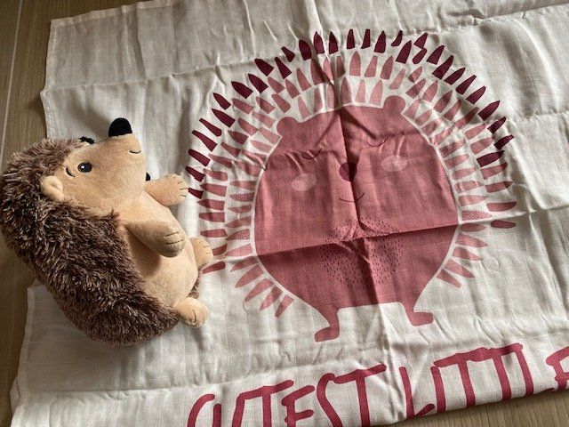 Lotti & Set di vestiti: neues Baby Set Gr. 62 "Igeli" – Nuovo (secondo la descrizione) da Staufen venduto da Nasli 1