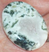 Cabochon L-5302 – Baum Moos Achat 36x27mm 55,60 Karat