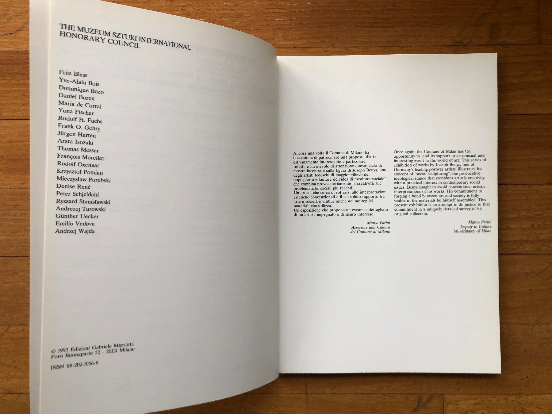 Libri: Kunst Buch: JOSEPH BEUYS - Polentransport 1981 – Usato da Lugano venduto da gio.yo 1