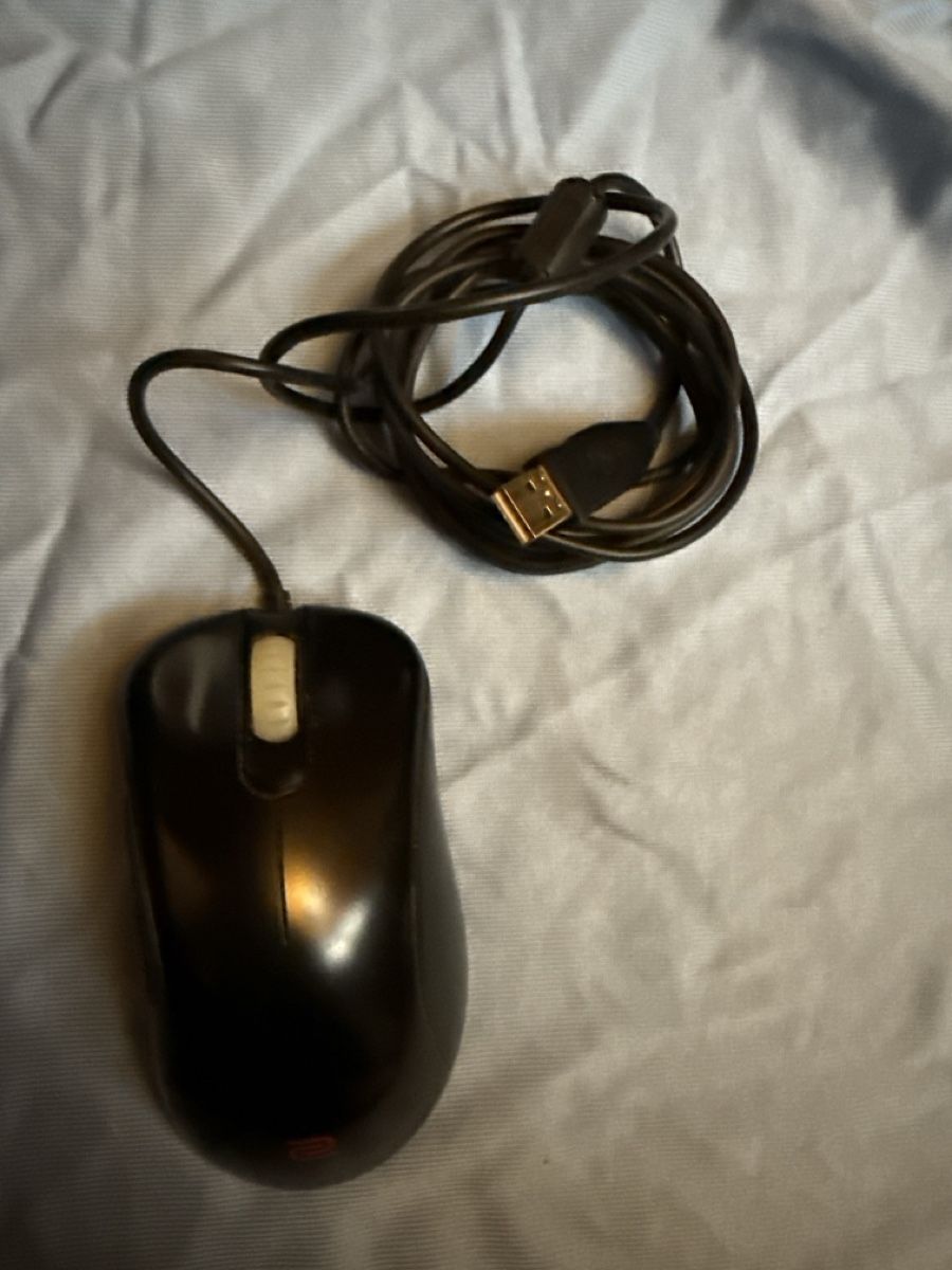 Mouse: Zowie EC2-A Gaming Mouse – Usato da Maschwanden venduto da luc_2csn 1