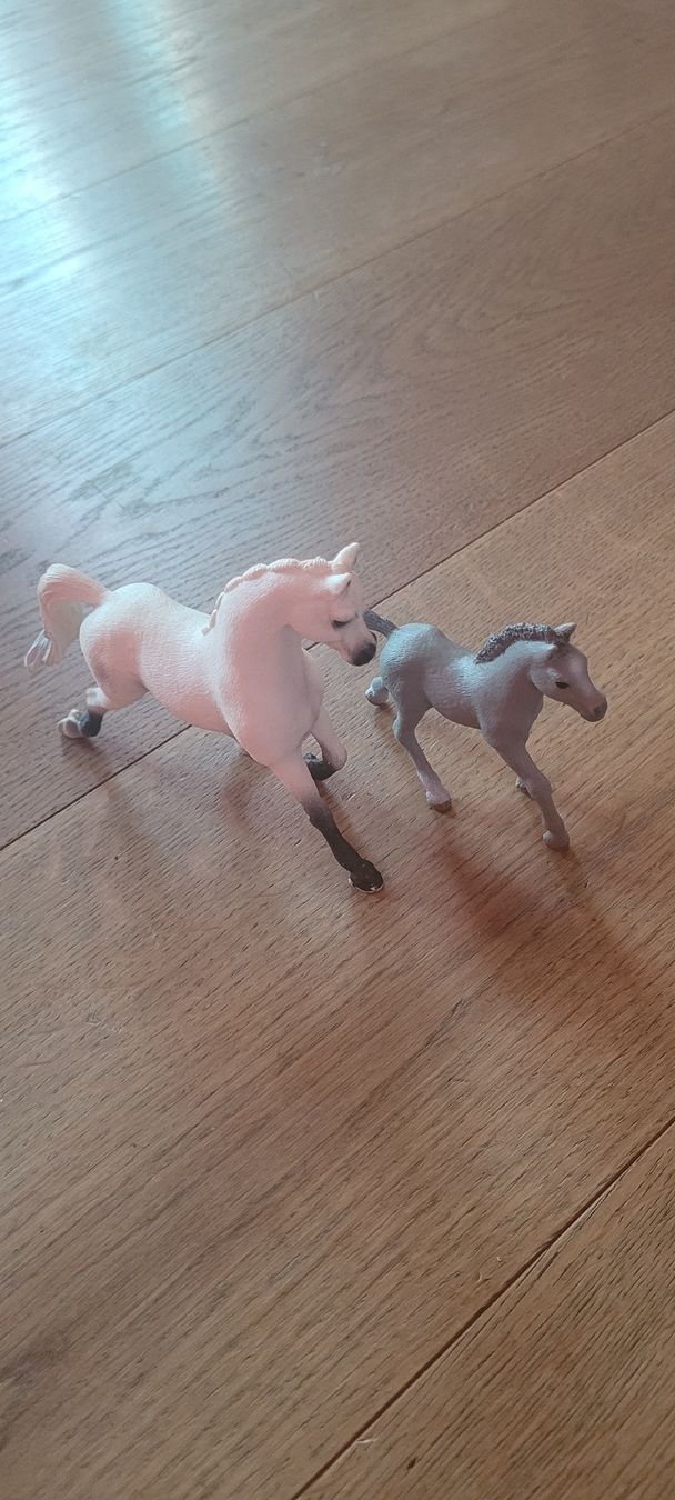 Schleich Jouets: Schleich Pferde Set – D'occasion à Mühlrüti par yllen88 1