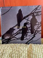 Vinyl (33t) Indochine "7000 danses"