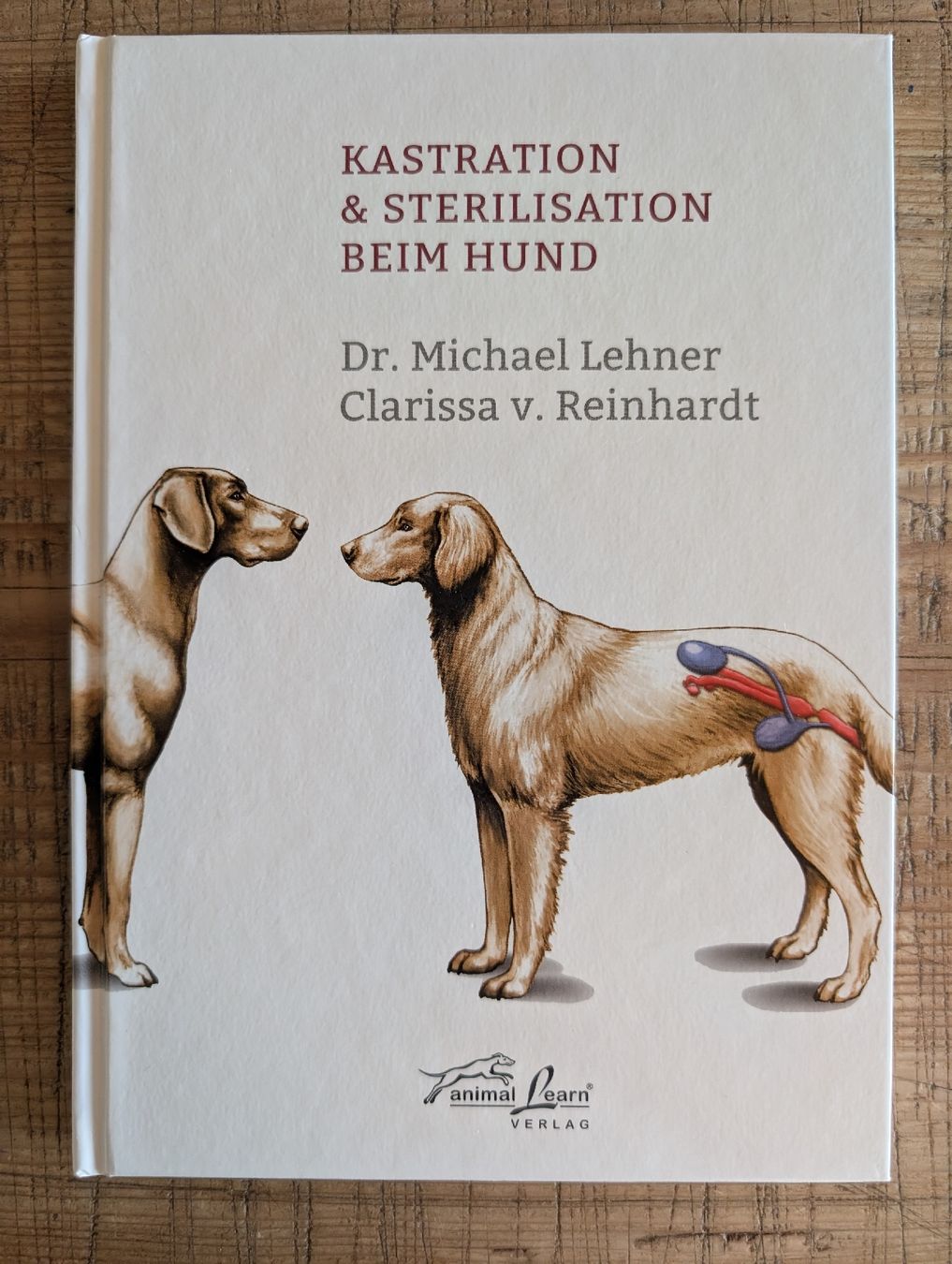Bücher: Kastration & Sterilisation beim Hund – Neu (gemäss Beschreibung) aus Oberwil-Lieli von stefim