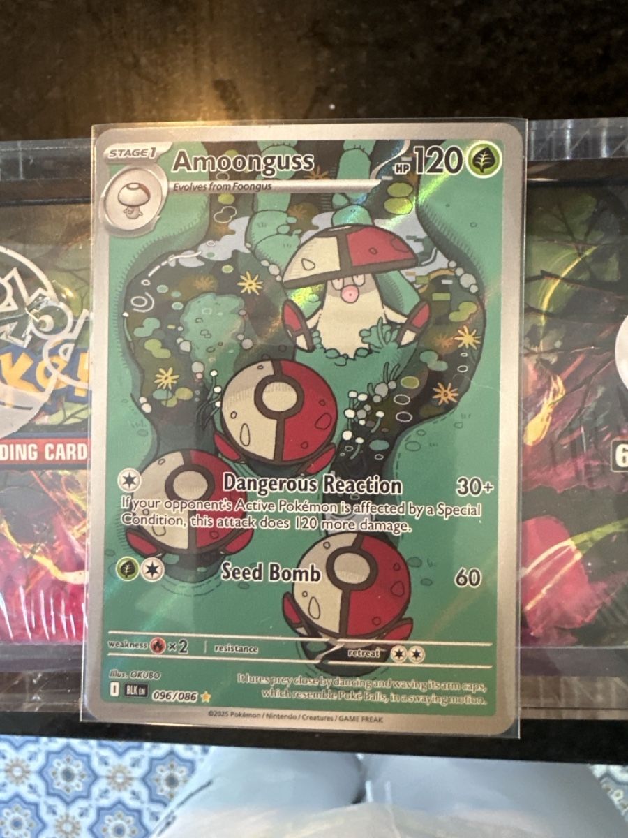 Pokémon Carte collezionabili: Amoonguss black bolt NM Top Zustand – Nuovo (secondo la descrizione) da Wabern venduto da Mauzao_TCG