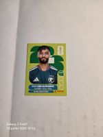 Panini  SALEH ABU ALSHAMAT KSA 14
