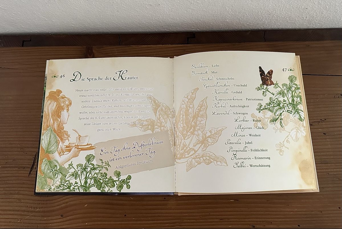 Libri: Kräuter - Büchlein – Usato da Otelfingen venduto da Jupi07 3