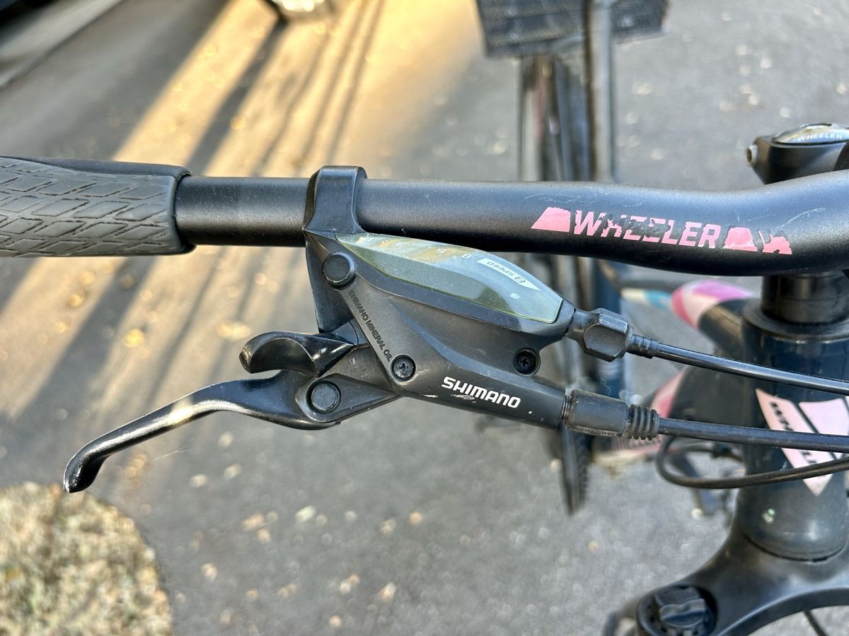 Wheeler Biciclette: Wheeler Damen Velo – Usato da Wettingen venduto da elisabetha06 4