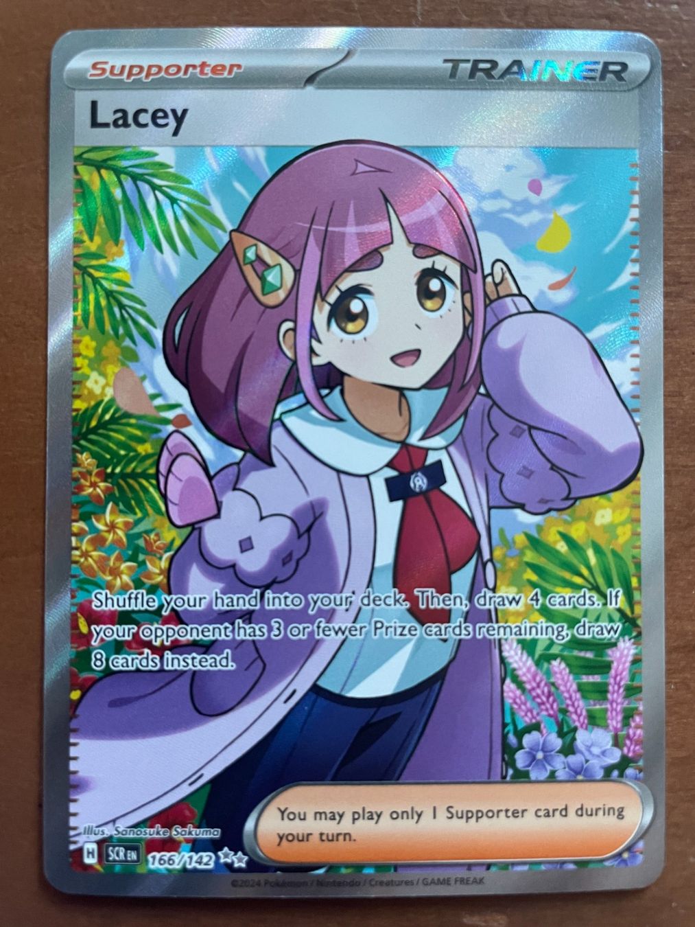 Pokémon Carte collezionabili: Pokemon Lacey (Versand gratis) – Nuovo (secondo la descrizione) da Chur venduto da Angerson
