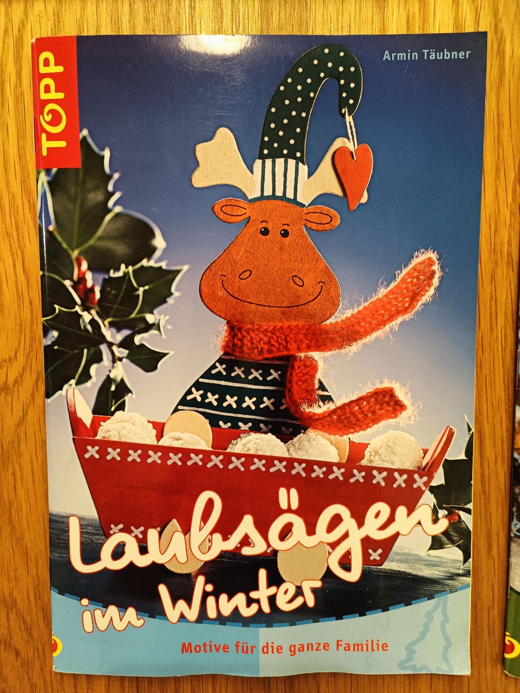 Libri: Topp Holzbastelbücher – Usato da Wangen SZ venduto da mka_w5d2 5