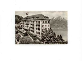 AK Bürgenstock Parkhotel mit Pilatus 1954