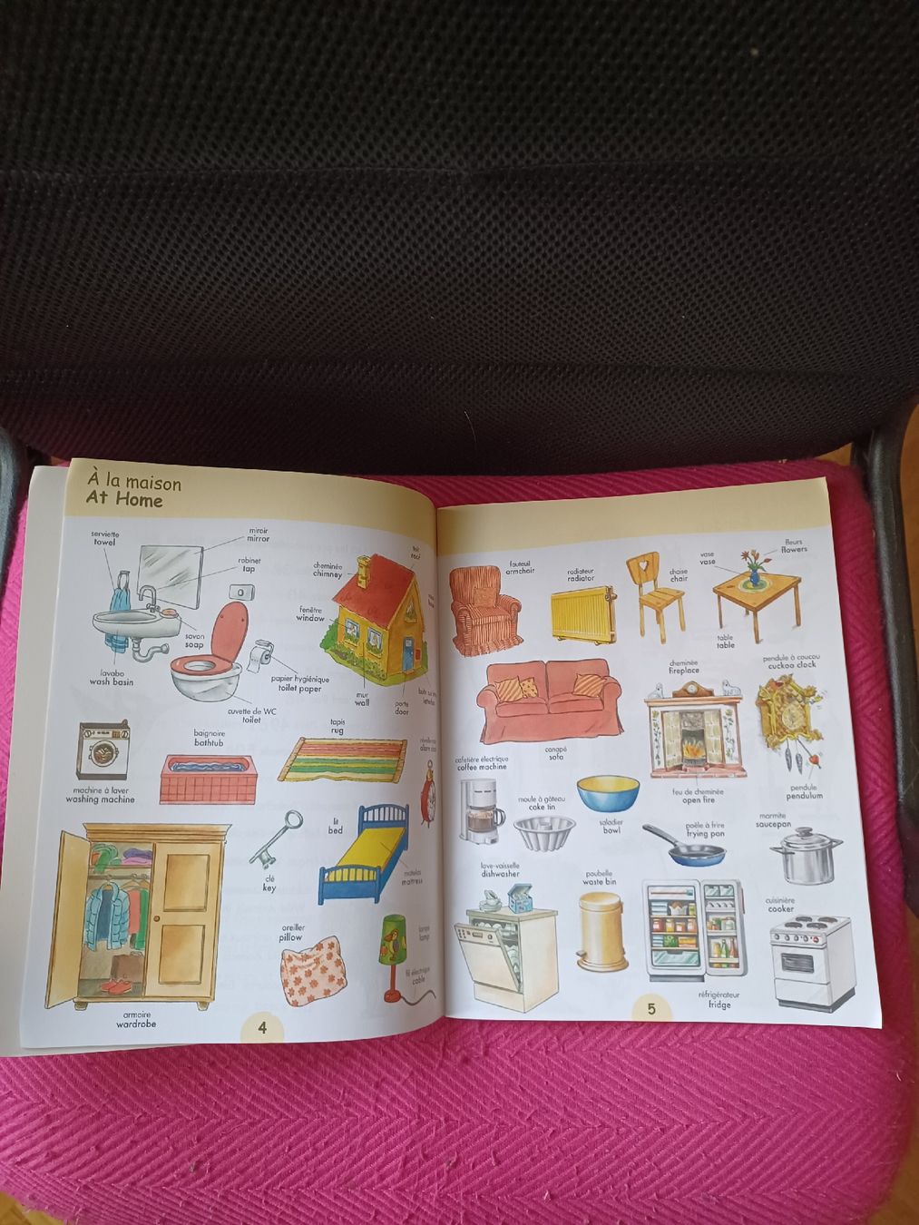 Libri: dictionnaire visuel – Usato da Soyhières venduto da 5jm_5czl 5