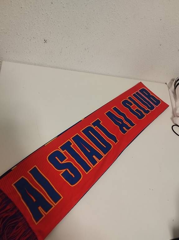 Foulards, Tücher & Schals: FC Basel Schal  – Gebraucht aus Bern von jan_l28t