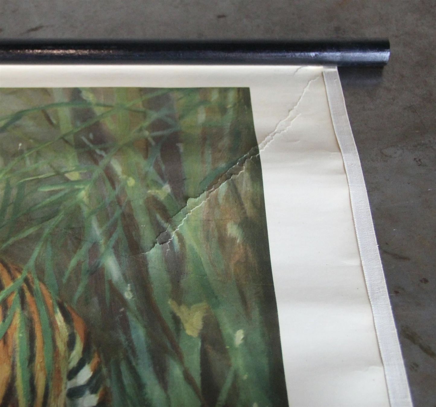 Posters & Illustrations: Schulwandbild, Rollbild "Tiger" – D'occasion à Birrwil par brandschatz_birrwil 5