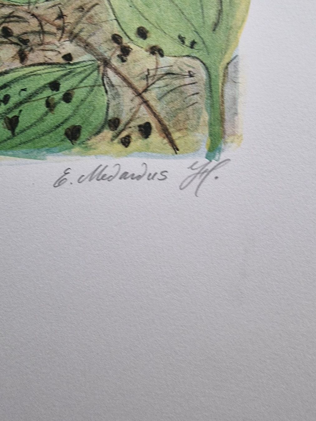 Grafica & Litografie: HAGNER EMIL LITHOGRAPHIE SIGNIERT NUMMERIERT – Usato da Gersau venduto da kunst-online 4