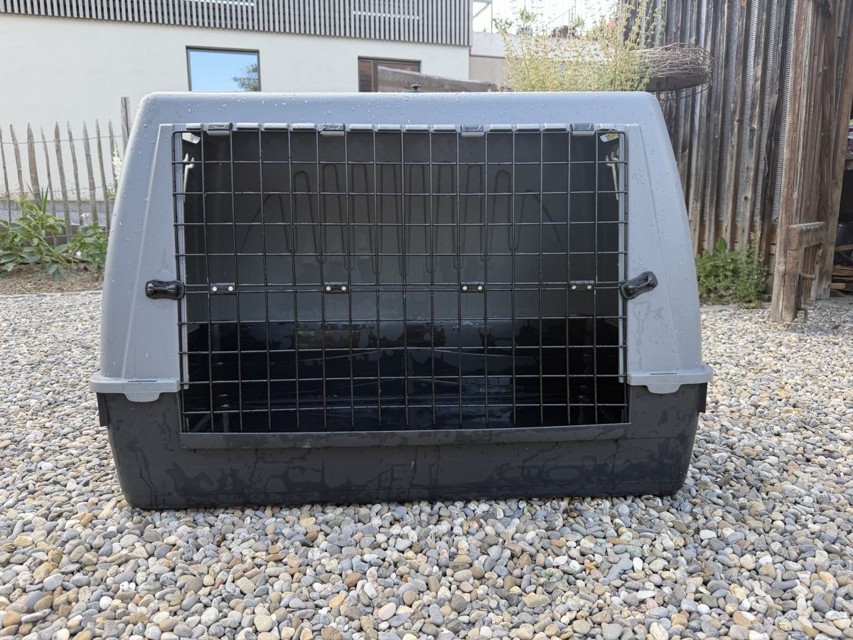 Cages, transport & sécurité: Grosse Hundebox – D'occasion à Othmarsingen par Robimusprime 2