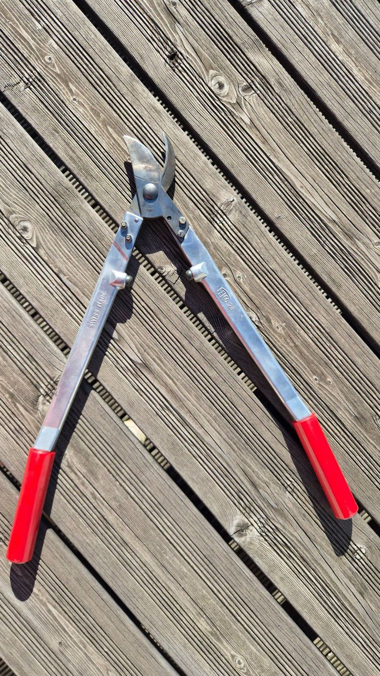 Felco Alle Werkzeuge: FELCO 23 Astschere - Gartenschere – Gebraucht aus Dornach von SolaRich 1