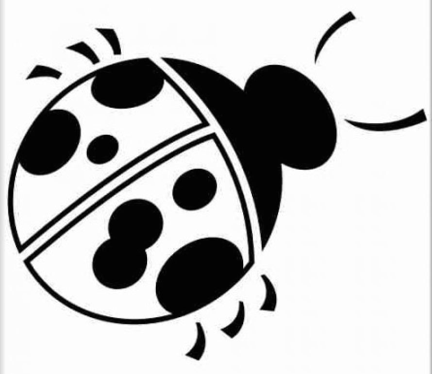 Sticker: Marienkafer  Kleber Top Angebot – Nuovo (secondo la descrizione) da Aarau venduto da Foruschweiz