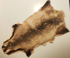 Echtes Dachsfell Wildtierfell gegerbt