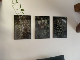 Drei Bilder „Wald“ mit Rahmen