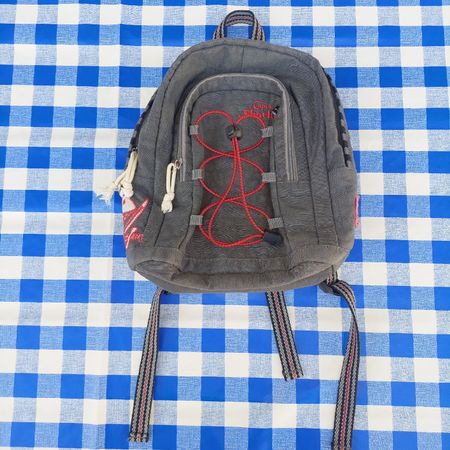 Kleiner Sharky Rucksack grau, gebraucht