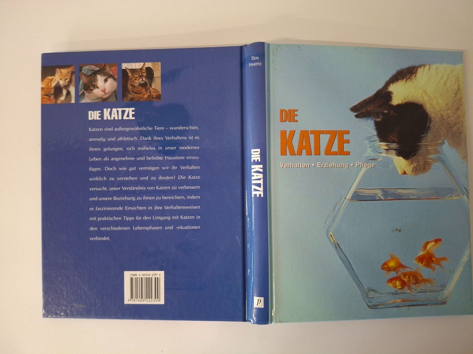 Libri: Die Katze - Verhalten, Erziehung, Pflege – Usato da Reichenburg venduto da AK307 3