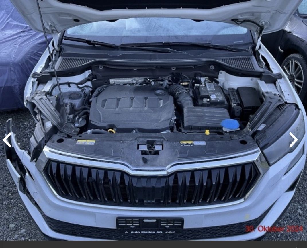 Skoda Automobili: Skoda Karoq 2.0 TDI – Usato da Rosshaussern venduto da Marcelka28