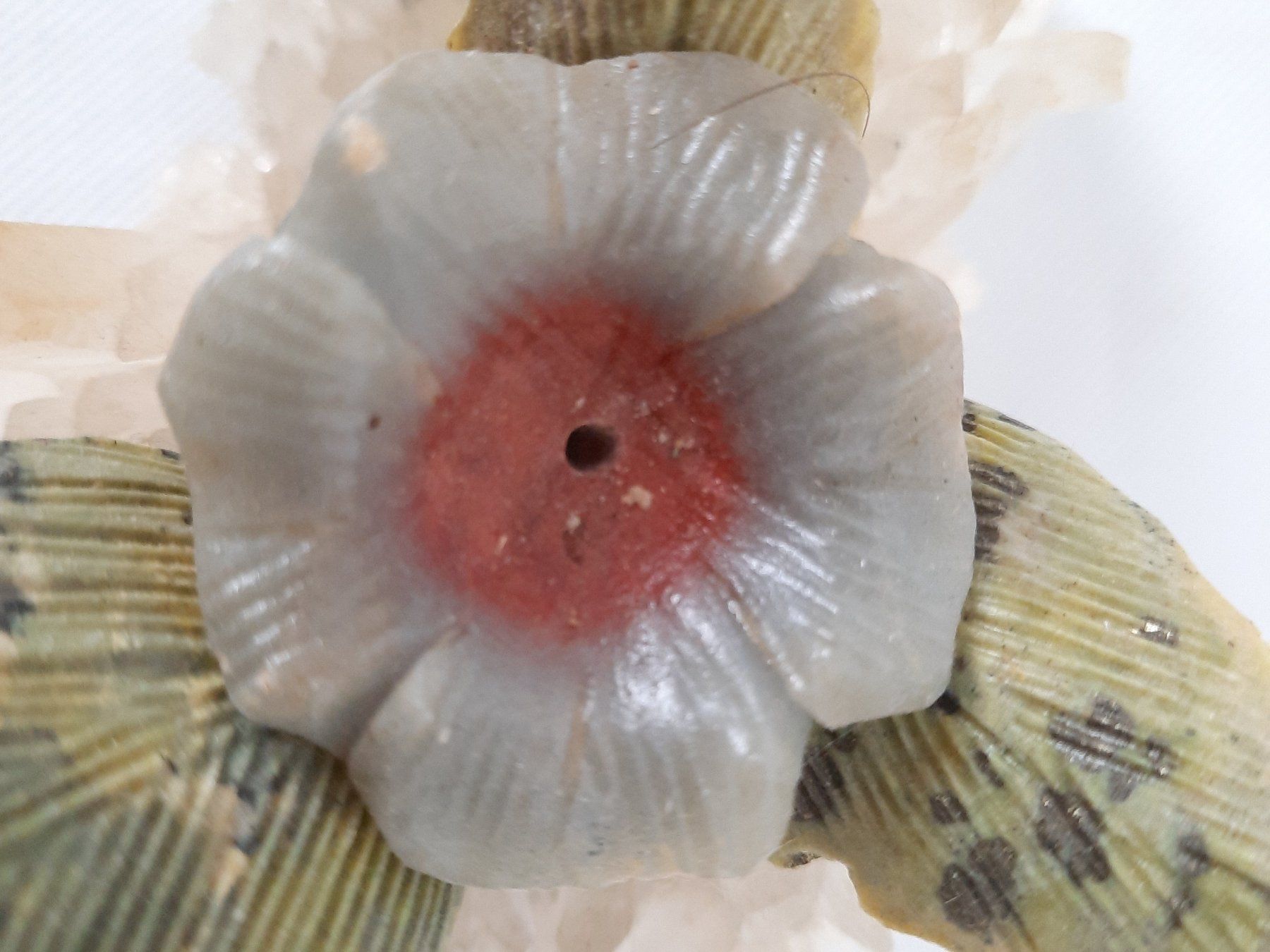 Minerali & Pietre curative: Blume auf Bergkristall – Usato da Beinwil am See venduto da Restwert_Beinwil 9
