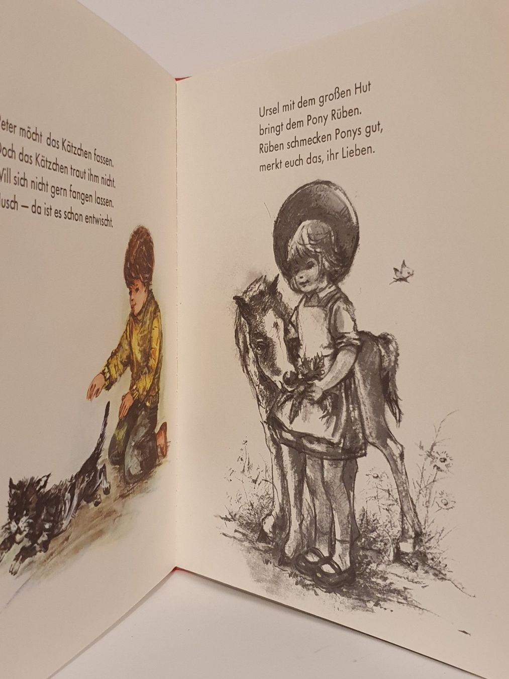 Libri: Ferien auf dem Ponyhof / Lore Hummel / #L – Usato da Oberdorf BL venduto da BaldenEagle 1