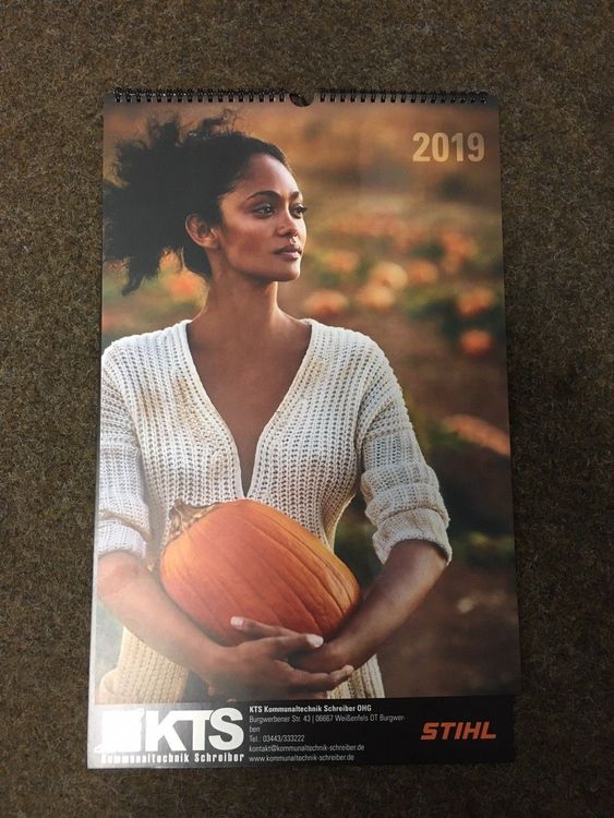 Stihl Kalender 2019 Kultkalender Kaufen auf Ricardo