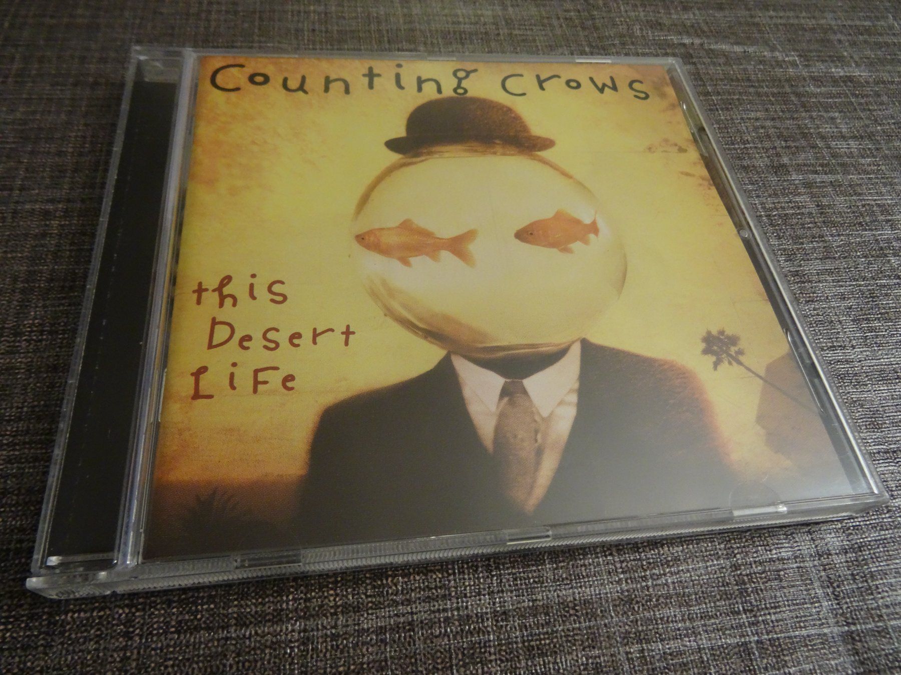 CD: Counting Crows - This Desert Life CD – Usato da Olten venduto da Disc-Ausverkauf