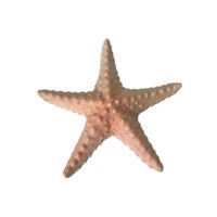 Deko Seestern Keramik 23.5 cm
