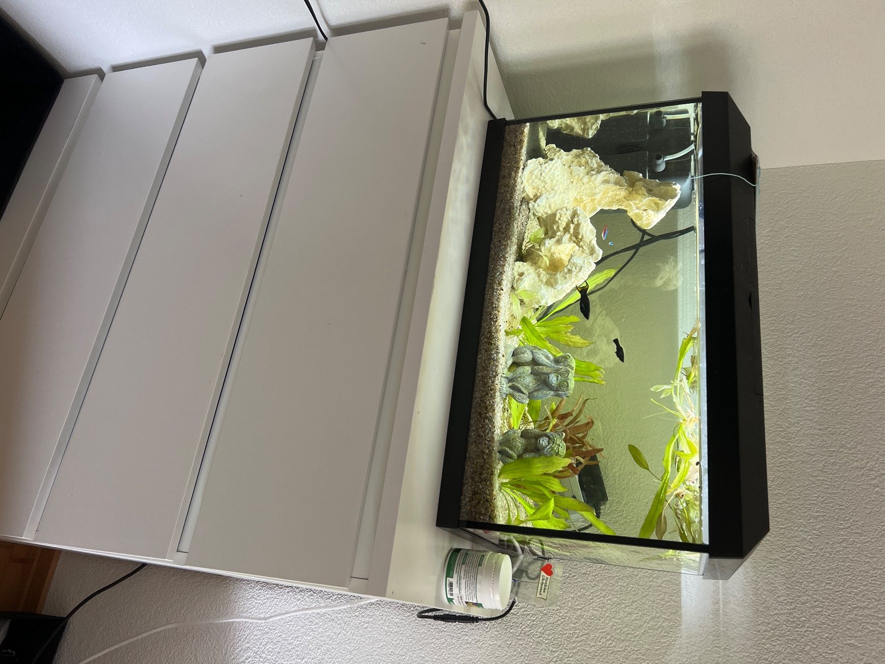 Aquarium: Aquarium inkl Pumpe Inhalt – D'occasion à Ittigen par ABalli 2