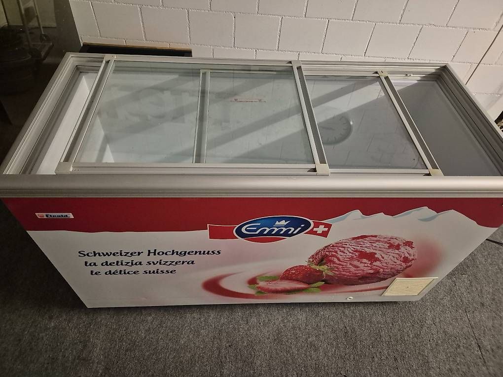 Cassapanche: Grosse Tiefkühltruhe – Usato da Unterlunkhofen venduto da AG5621