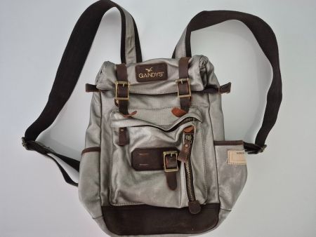 Rucksack Gandys Damen Silberfarben Lederakzente..