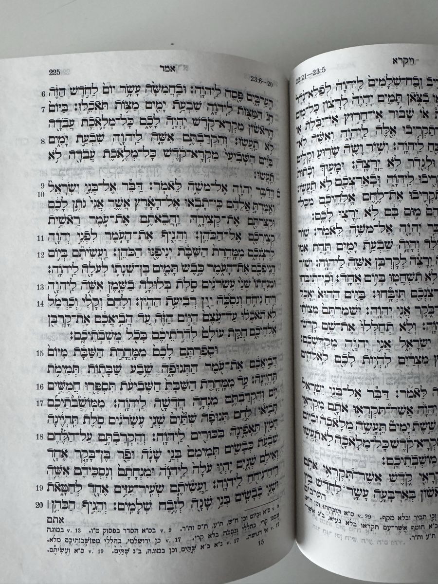 Libri: Bibel AT / NT Hebräisch Torah Tanach – Nuovo (secondo la descrizione) da Emmenbrücke venduto da Balmoral 3