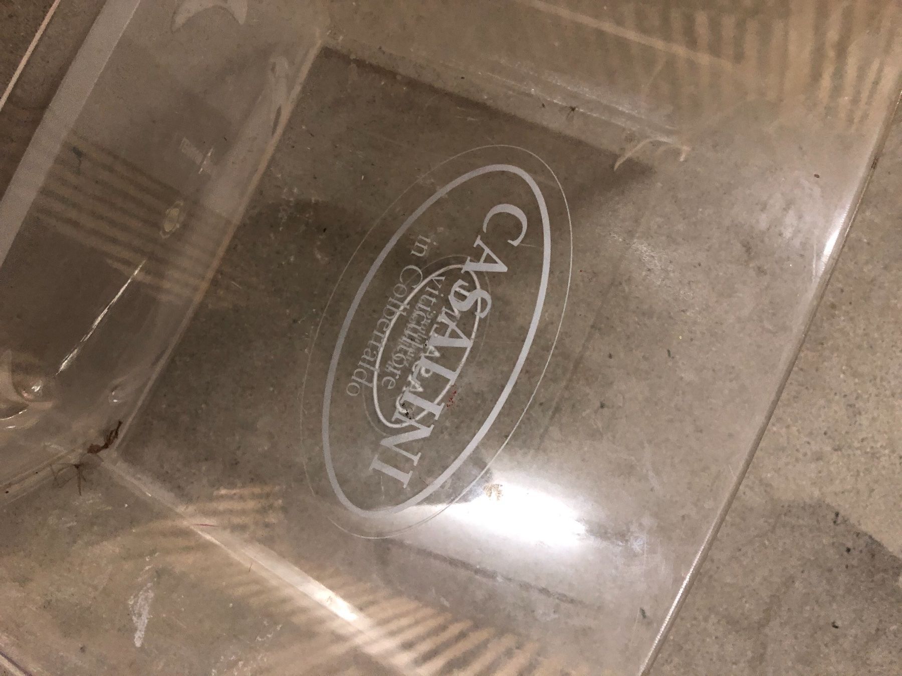Sonstiges: Cestello champagne – Gebraucht aus Küssnacht am Rigi von ciucchino 6